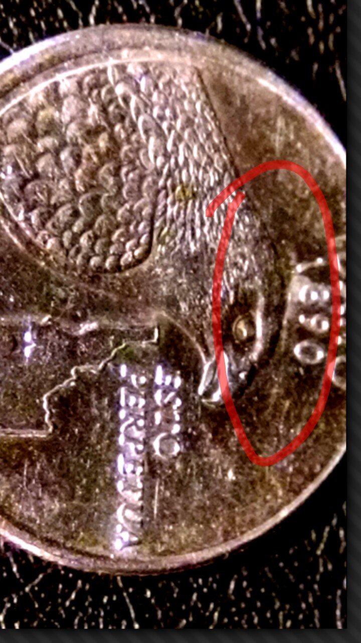 Idaho-State-Quarter-With-